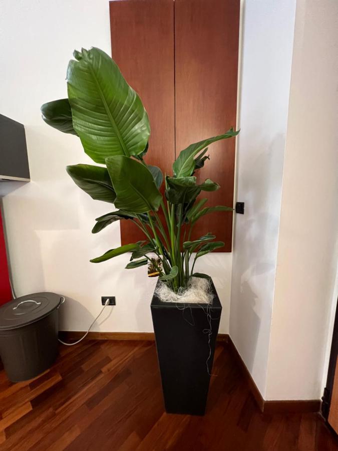 Effealatapartments - Appartamento Del Duca セニガッリア エクステリア 写真