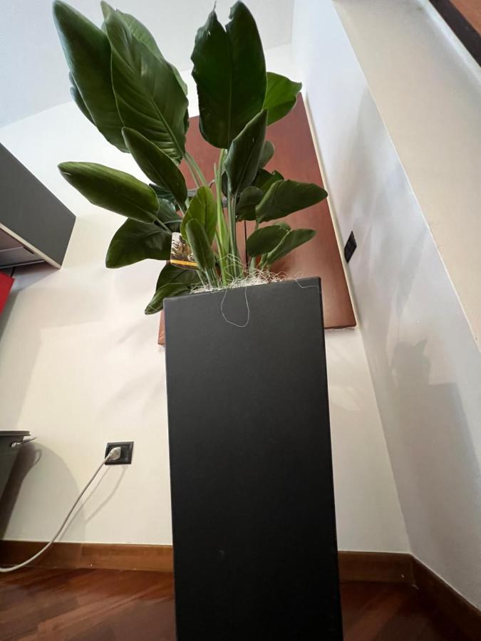 Effealatapartments - Appartamento Del Duca セニガッリア エクステリア 写真